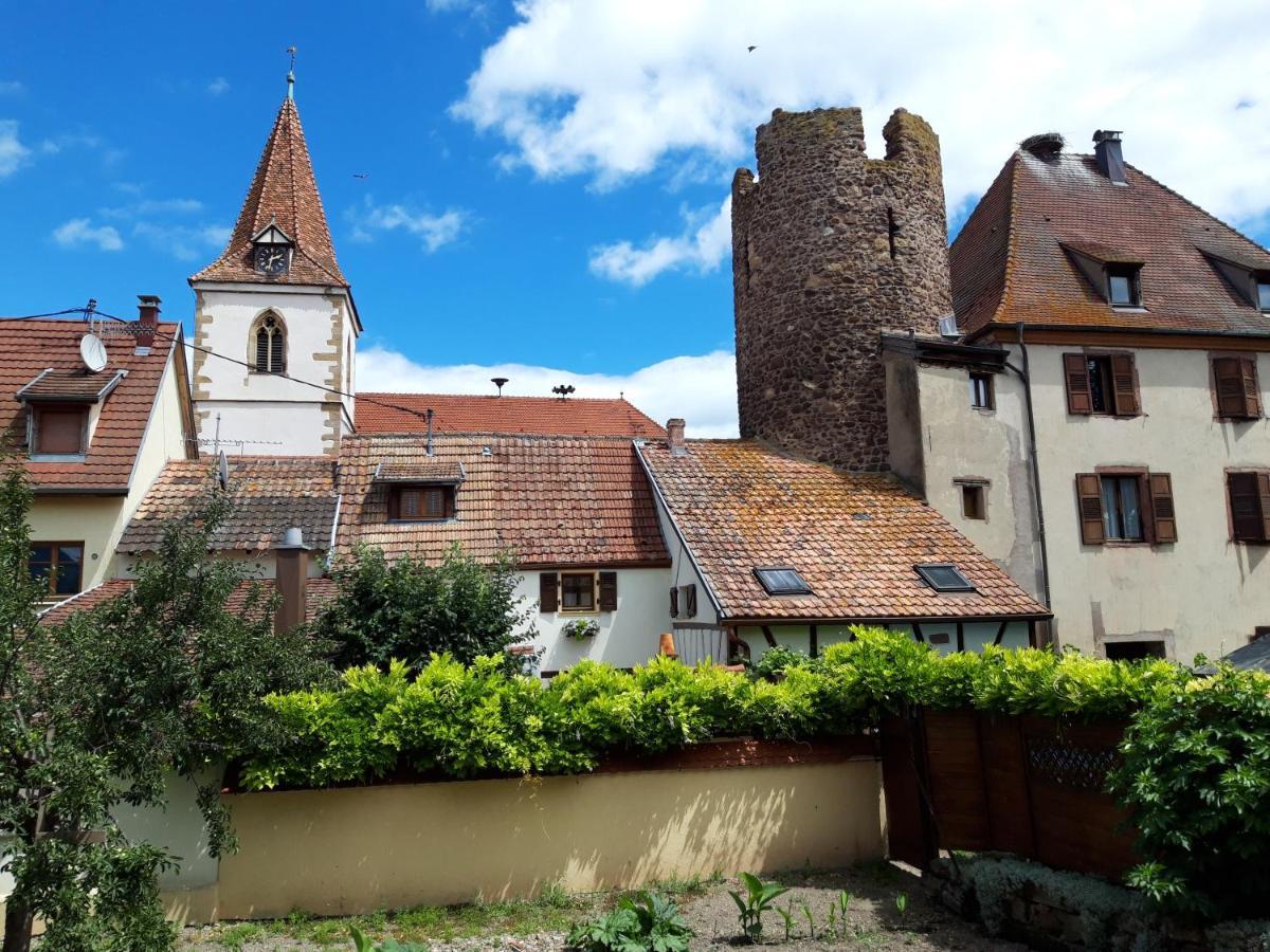 "La Vigne Dort" Cocon Romantique Herrlisheim-pres-Colmar Bagian luar foto